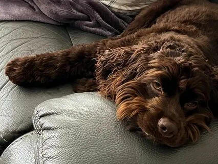 A Dream By Edgar Allen Poe