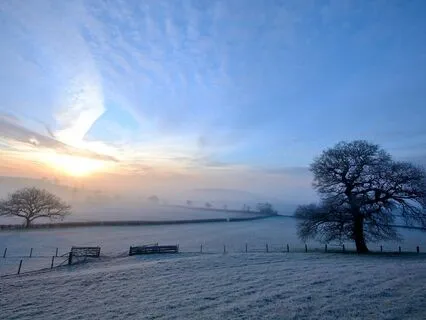 A Dusting Of Snow - Magical Harp & Birdsong