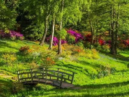 A Fairy's Journey - Ethereal And Entrancing Harp