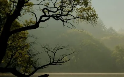 A Faith Based Guided Meditation