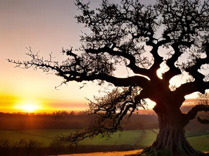 A Farmhouse In Slumbershire