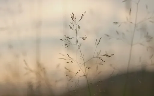 A Few Minutes Of Gentle Self Care