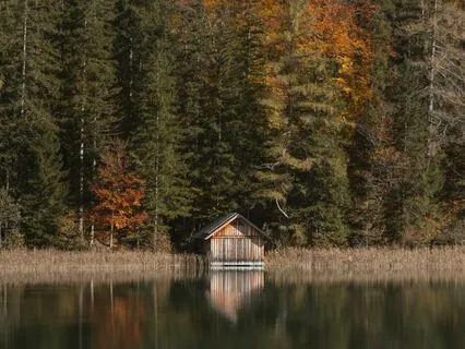 A Few Minutes Of Tranquillity