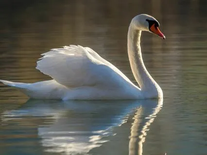 Nonduality Pointers ~ Simple Guidance For Meditation