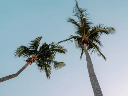 Relieve Anxiety In Five Minutes