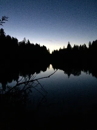 A Flight Through The Deep