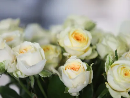 A Forgiveness Practice