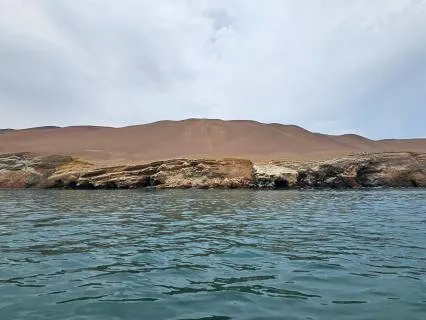 A Four-Minute Mindful Meditation