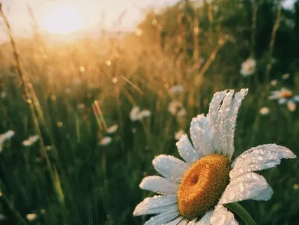 A Fresh Morning - A Fresh You