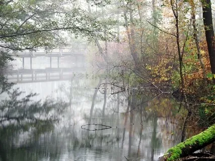 A Fresh Morning Walk In The Park (Piano Meditation)