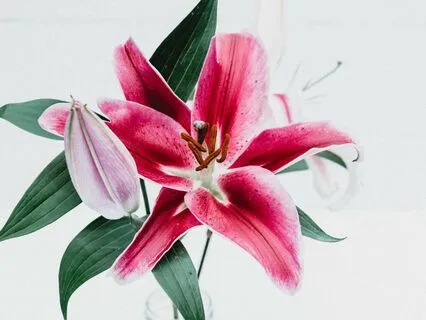 A Fresh Start Meditation