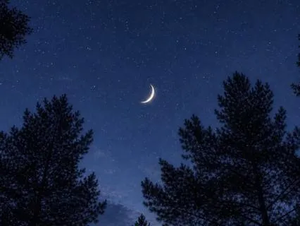 A Friend In The Night: Sleep Support For Insomnia