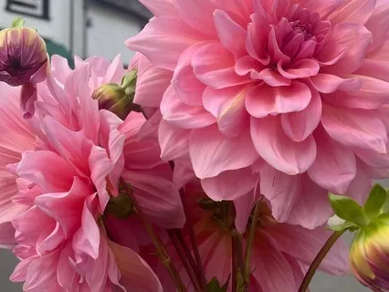 A Full-Body Reset To Align With The Divine Now