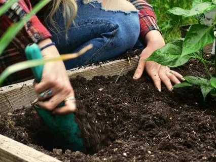 A Garden Of Ideas For This Season