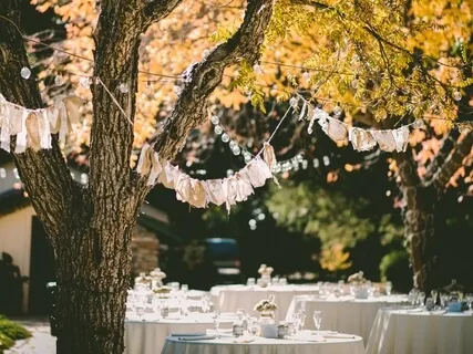 A Garden Party Ambience