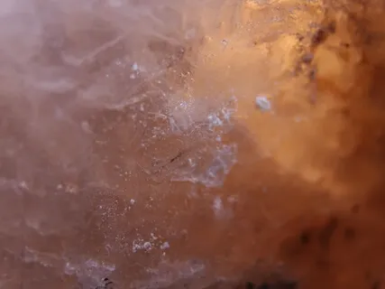 A generous Heart, Kind Speech, And A Life Of Service And Compassion Are The Things Which Renew Humanity