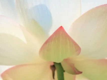 A Gentle 10 Minute Daily Healing Meditation For Goddess Isis