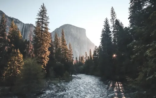 A Gentle & Grounding Moment