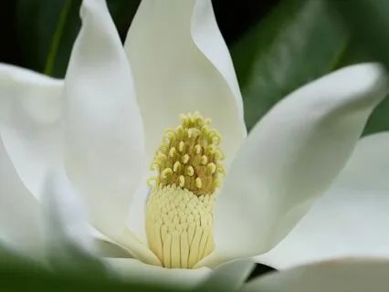 A Gentle Bedtime Talk: A Journey To The Aligned Self