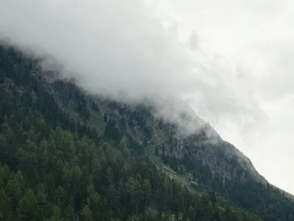 A Gentle Beginning: Pranayama (4-7-8) Breath