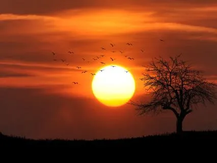 A Gentle Breathing Practice To Dissolve Anxiety