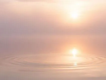 A Gentle Goodbye: Letting Go Of A Beloved Pet