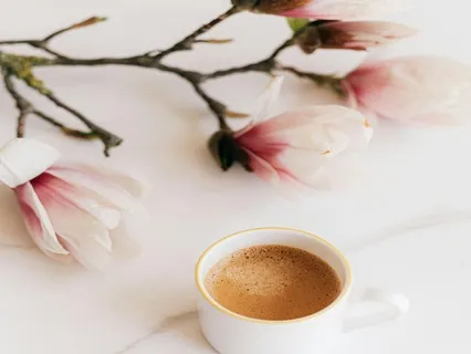 A Gentle Journey Toward Renewal And Strength