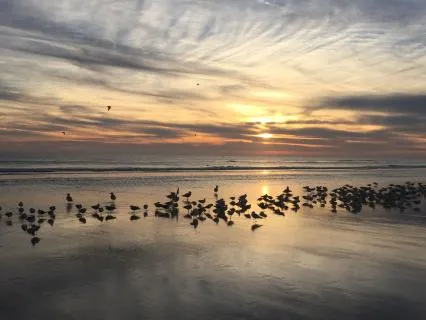 A Gentle Meditation For Grief