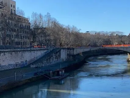 A Gentle Meditation For Gut Healing & Emotional Reset