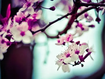 A Gentle Meditation For Inner Peace And Loving Awareness