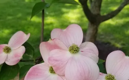 A Gentle Meditation Journey To Self Discovery