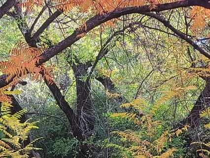 A Moment Of Gratitude