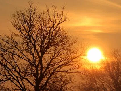 A Gentle Morning After A Restless Night