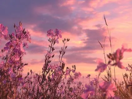 A Gentle Morning Meditation