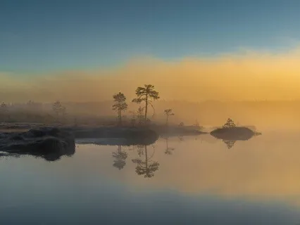 A Gentle Morning Reset Meditation