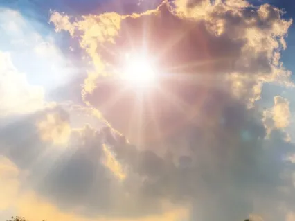 A Gentle Path From Gratitude To Forgiveness