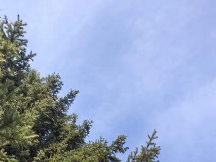 A Gentle Path To Gratitude | The Gift Of This Moment