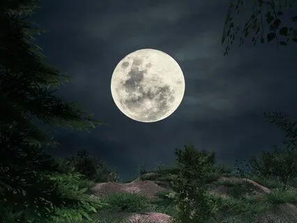 A Gentle Path To Sleep