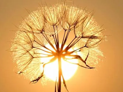 A Gentle Pause For Anxiety