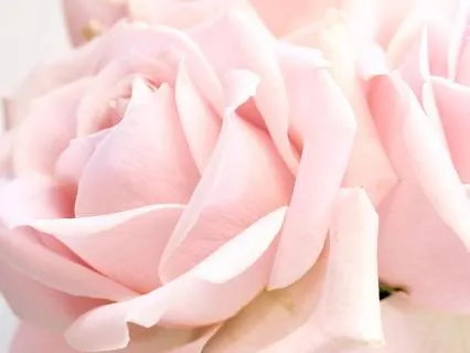 A Gentle Pause For Overthinking – Subliminal Edition