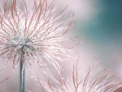 A Gentle Pause In The Middle Of The Day