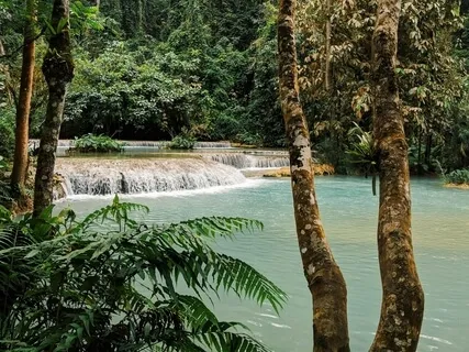 A Gentle Practice For Endometriosis Or Pelvic Pain