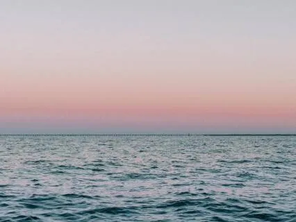 Nervous System Reset