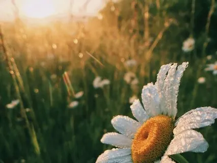 A Gentle Prayer For Eating Alone