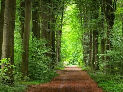 A Gentle Prayer For Healing And Restoration