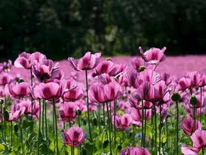 A Gentle Reminder: Life Is Working Out Perfectly For You