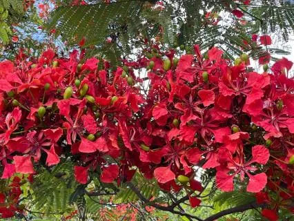 A Gentle Reset | Calm & Presence Through Awareness