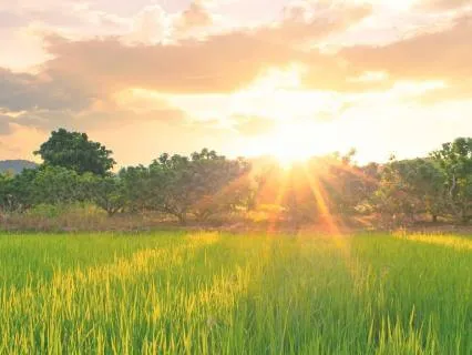 A Gentle Reset For How You Show Up