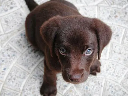 A Gentle Reset For Your Mind