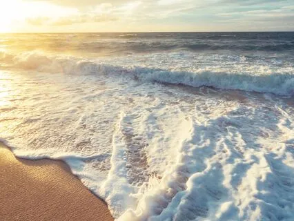 A Gentle Reset-Meditation For Calm